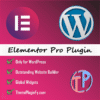 Elementor-4-1.png Elementor Pro Plugin - The Outstanding Website Builder for WordPress 2024