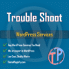 WP-Services-1.png Best WordPress Service by ThemePluginFy.com 2024